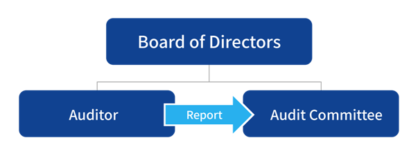 Organization of Internal Audit